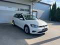 Volkswagen Golf Variant Golf Variant 1,6 TDI KLIMAAUTO/PARKTR./ACC Weiß - thumbnail 13