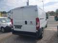 Fiat Ducato L2 NUR 46.000 km NETTO 15.800.- Ohne Anz. 419.-/M. Weiß - thumbnail 5