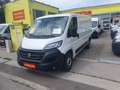 Fiat Ducato L2 NUR 46.000 km NETTO 15.800.- Ohne Anz. 419.-/M. Weiß - thumbnail 3