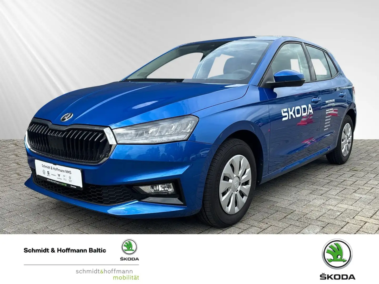 Skoda Fabia 1.0 TSI Selection Klima Einparkhilfe Sitzheizung Bleu - 1