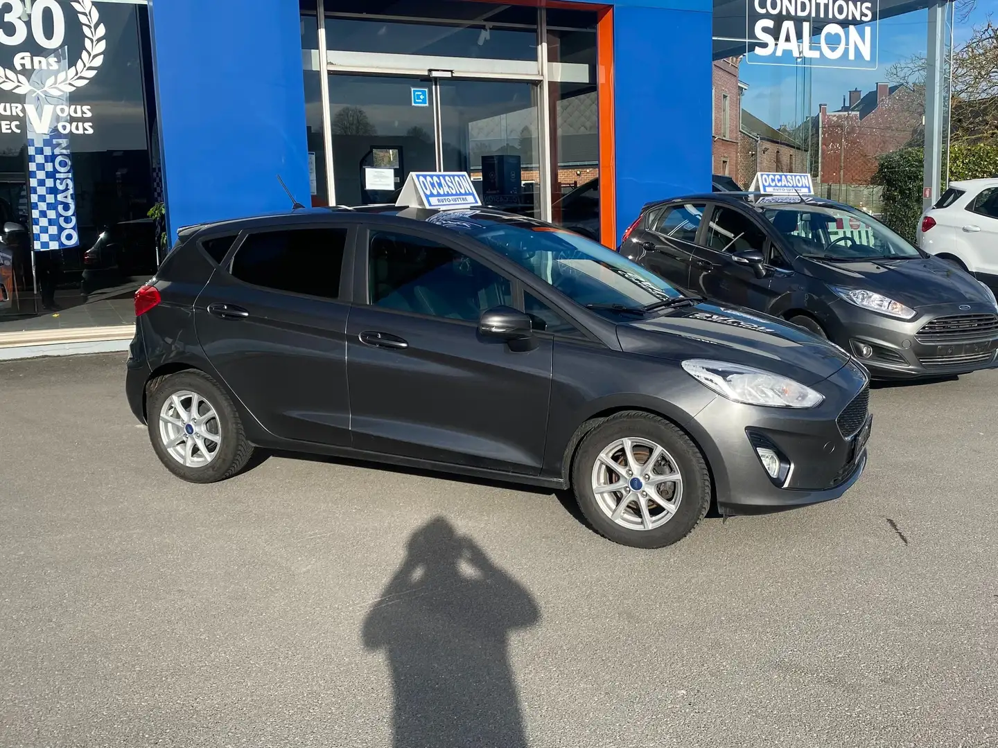Ford Fiesta 1.0 EcoBoost Business Class (EU6.2) Grijs - 2