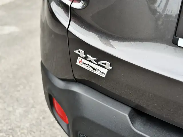 Jeep Renegade view 10