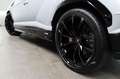 Lamborghini Urus URUS S /3D B&O/STYLE-PACKAGE BLACK/PANORAMA/23" Срібний - thumbnail 7