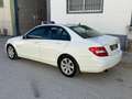 Mercedes-Benz C 200 200CDI BE Avantgarde Blanco - thumbnail 12