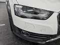 Audi A4 allroad quattro 3.0TDI S-Tronic Blanco - thumbnail 6