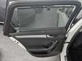 Audi A4 allroad quattro 3.0TDI S-Tronic Blanco - thumbnail 41