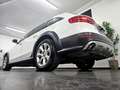 Audi A4 allroad quattro 3.0TDI S-Tronic Blanco - thumbnail 12