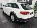 Audi A4 allroad quattro 3.0TDI S-Tronic Blanco - thumbnail 11