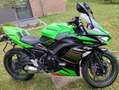 Kawasaki Ninja 650 Pack Touring Groen - thumbnail 20