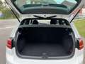 Volkswagen Golf GTI 2.0 TSI Performance *ECOSSAIS*NAVI*LED*PALETTE* Blanco - thumbnail 7
