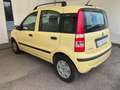 Fiat Panda 1.2 Dynamic UNICO PROPRIETARIO RARISSIMA PER KM Giallo - thumbnail 3