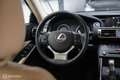 Lexus IS 300 300h Luxury Line | Dealer OH | Camera | Stoel + st Rood - thumbnail 27