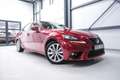 Lexus IS 300 300h Luxury Line | Dealer OH | Camera | Stoel + st Rood - thumbnail 15