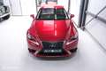 Lexus IS 300 300h Luxury Line | Dealer OH | Camera | Stoel + st Rood - thumbnail 32