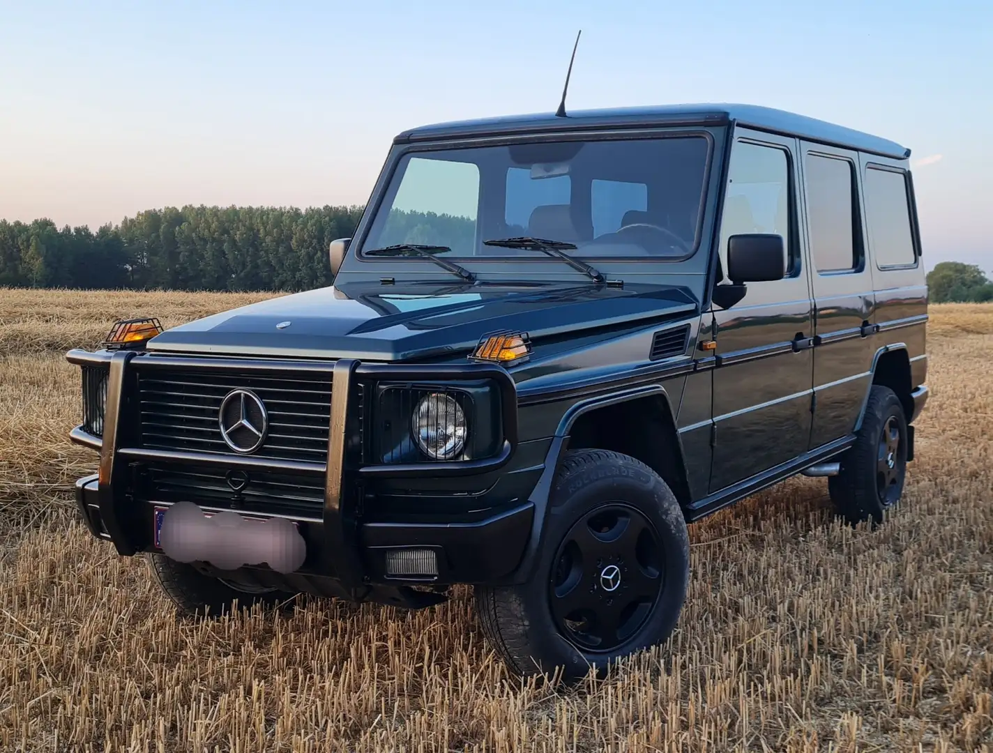 Mercedes-Benz G 300 D (GD) - 1