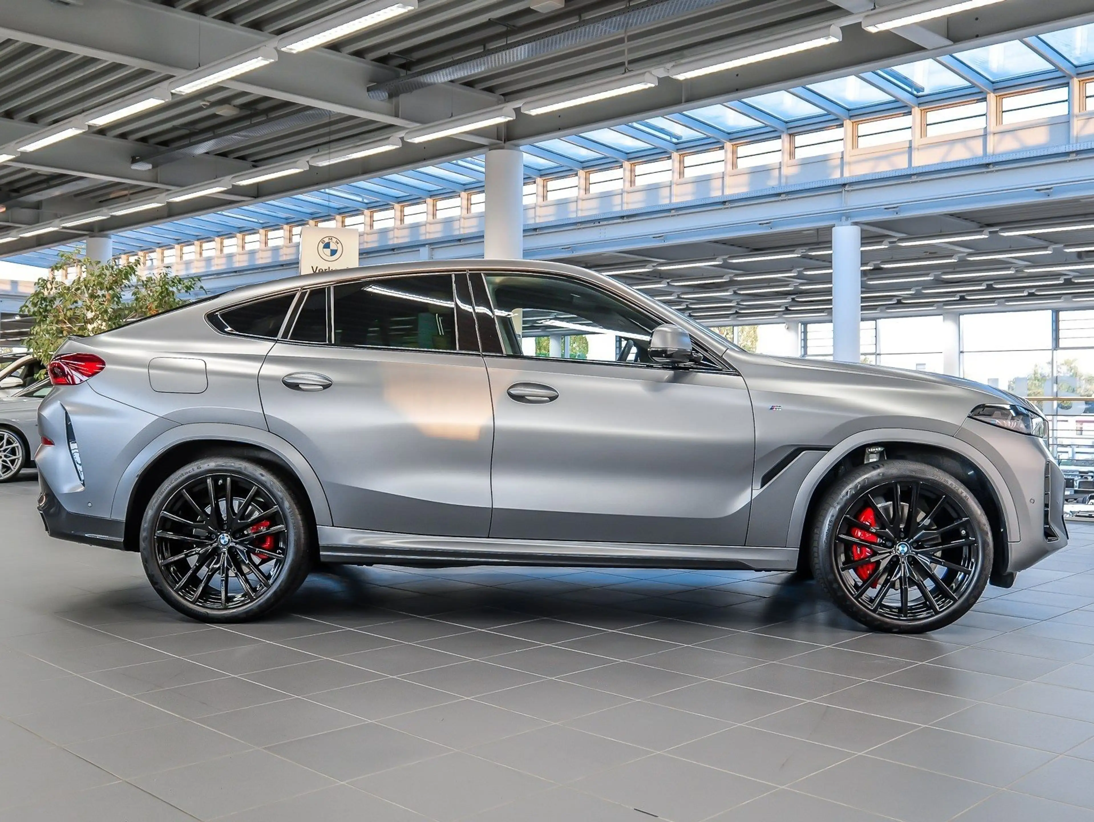 BMW X6 xDrive30d M Sport RFK NAVI LED Sound Syst. — photo 10