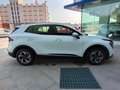 Kia Sportage Sportage V 2022 1.6 crdi mhev Business imt Bianco - thumbnail 6