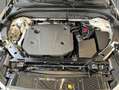 Volvo XC60 XC60 B4 D AWD Momentum-Pro Leder-Hell-Beige UA00 Weiß - thumbnail 22