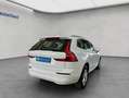 Volvo XC60 XC60 B4 D AWD Momentum-Pro Leder-Hell-Beige UA00 Weiß - thumbnail 6