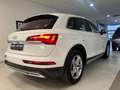 Audi Q5 Todoterreno Automático de 5 Puertas Blanc - thumbnail 12