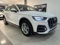 Audi Q5 Todoterreno Automático de 5 Puertas Blanc - thumbnail 8