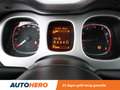 Fiat Panda 1.0 Mild-Hybrid City Cross Plus Wit - thumbnail 20