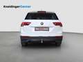 Volkswagen Tiguan TDI Weiß - thumbnail 4