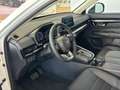 Honda CR-V e:HEV 2.0 i-MMD Hybrid AWD Elegance Weiß - thumbnail 5