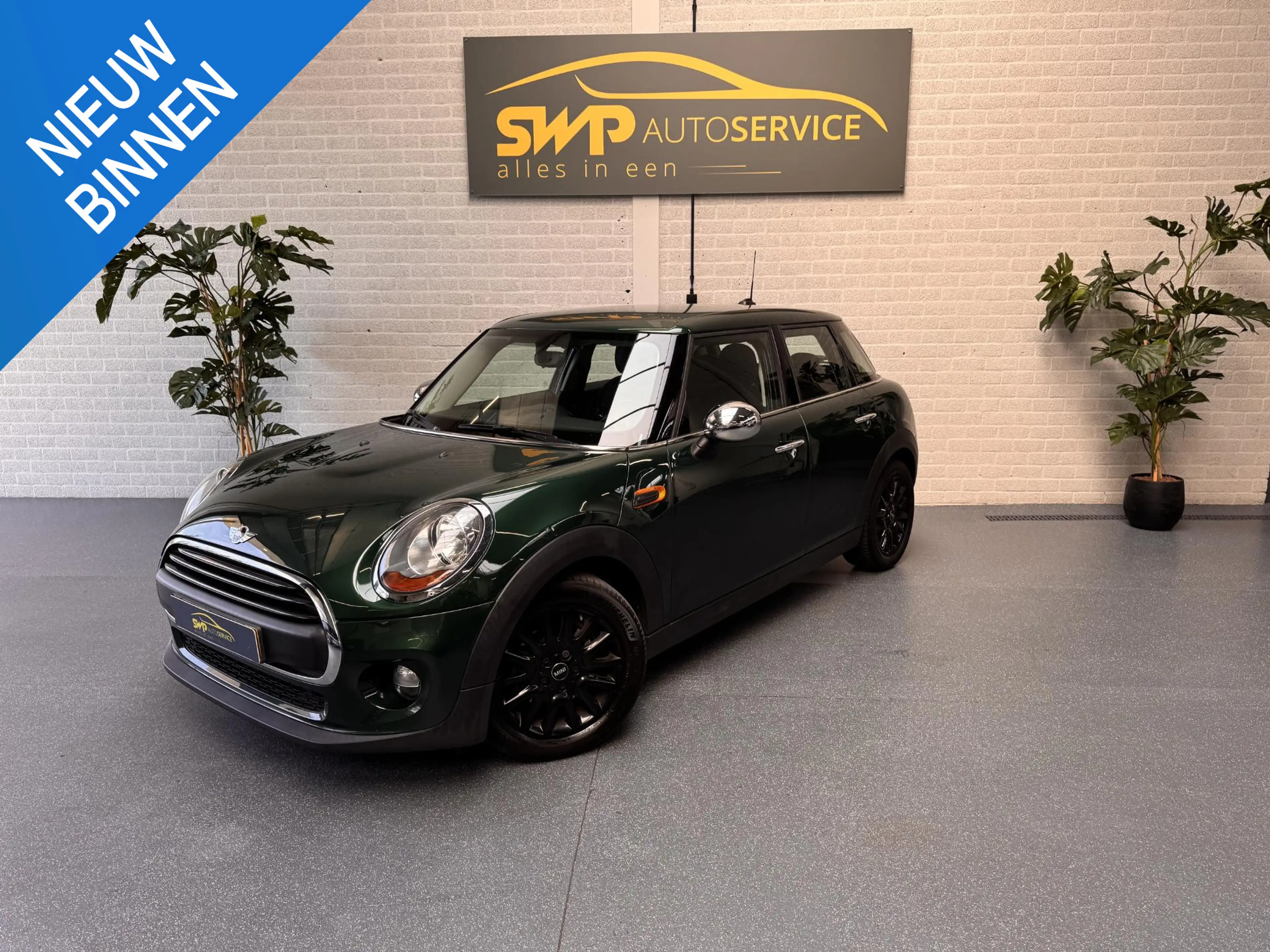MINI One 5-Deurs 1.5 Salt Business | British Racing Green |