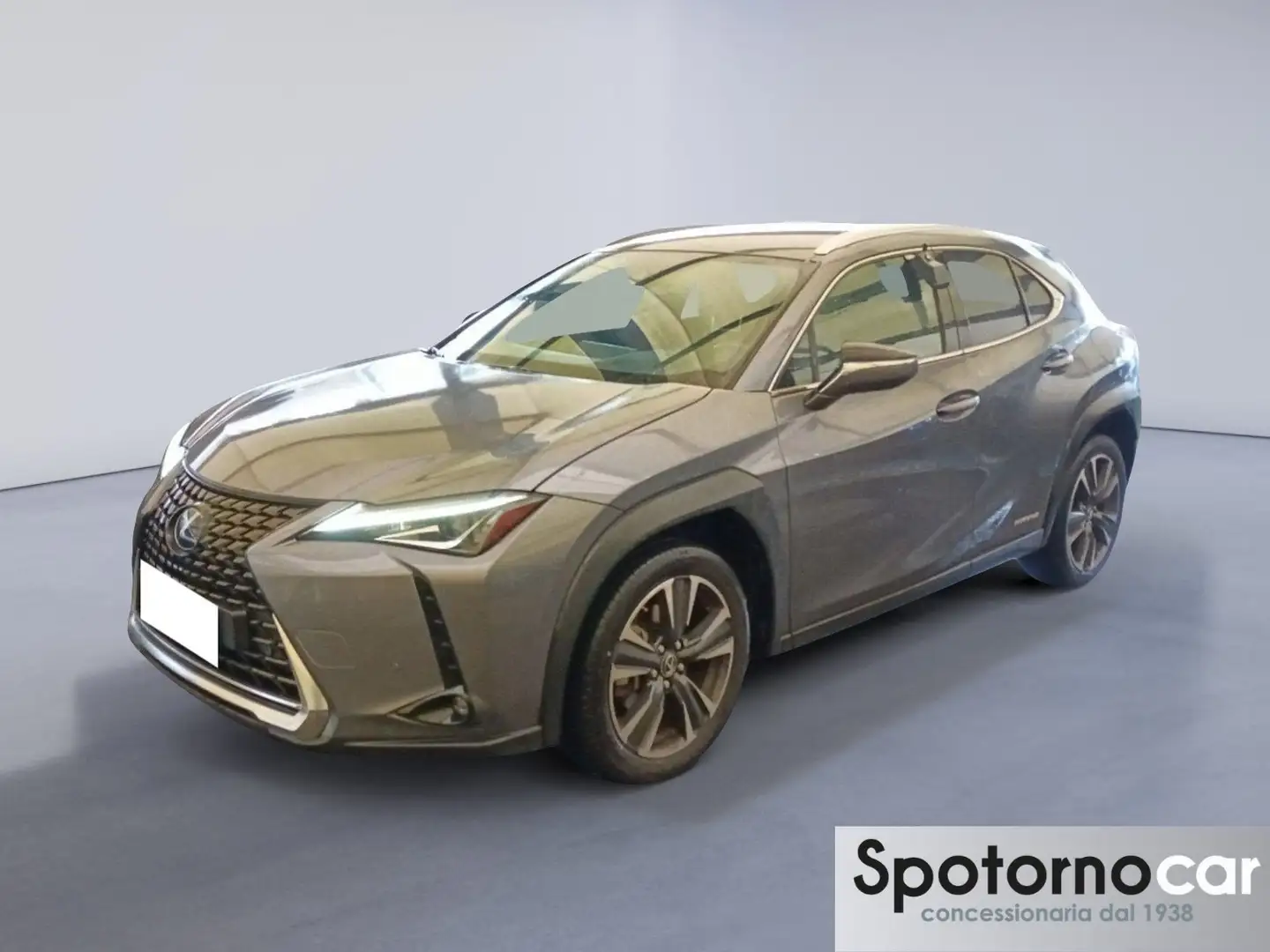 Lexus UX 250h Hybrid Premium Grau - 1