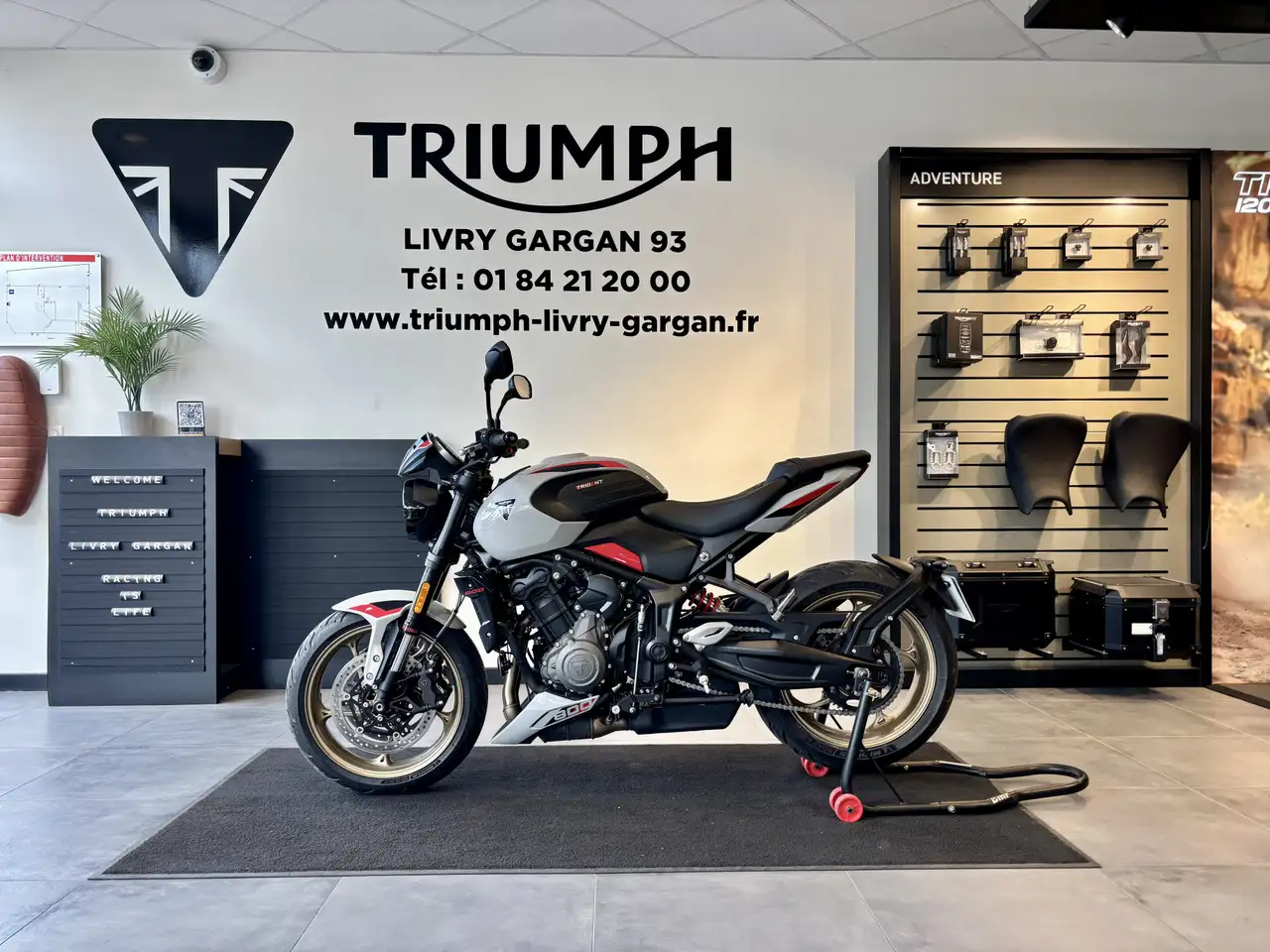 Triumph