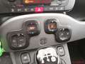 Fiat Panda III 2016 4x4 1.3 mjt 16v 4x4 s&s 95cv Bianco - thumbnail 14