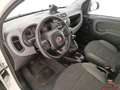 Fiat Panda III 2016 4x4 1.3 mjt 16v 4x4 s&s 95cv Bianco - thumbnail 9