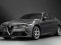 Alfa Romeo Giulia Quadrifoglio, 1. Hand, MwSt Grau - thumbnail 1