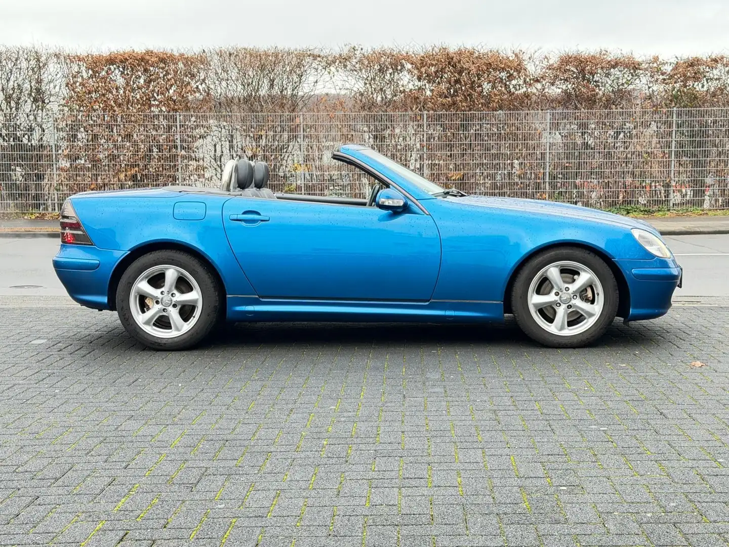 Mercedes-Benz SLK 200 Kompressor "Special Edition" Leder-Xenon Albastru - 2
