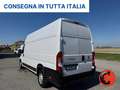 Fiat Ducato 35 2.3 MJT 140CV MAXI L4-H3-E6D-SUPER LUNGO- Bianco - thumbnail 5