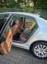Volkswagen Phaeton 3.0 V6 TDI DPF 4MOTION Automatik (5 Sitzer) Silber - thumbnail 6