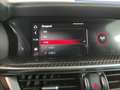 Alfa Romeo Stelvio 2.2 TD 210 cv AT8 Q4 Veloce Tì Navi Xeno Cerchi 20 Niebieski - thumbnail 23