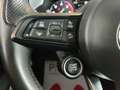 Alfa Romeo Stelvio 2.2 TD 210 cv AT8 Q4 Veloce Tì Navi Xeno Cerchi 20 Niebieski - thumbnail 19