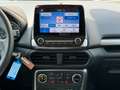 Ford EcoSport Cool & Connect 1 Hand - LED // Grau - thumbnail 14