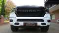 Dodge RAM 5,7 V8/SPORT-NIGHT EDITION/4X4/LED/AHK/SHZ/ Blanc - thumbnail 6