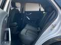 Audi Q2 35 TDI quattro S tronic advanced *Pano*AHK* Blanc - thumbnail 14