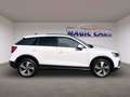 Audi Q2 35 TDI quattro S tronic advanced *Pano*AHK* Blanc - thumbnail 17