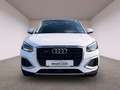 Audi Q2 35 TDI quattro S tronic advanced *Pano*AHK* Blanc - thumbnail 11