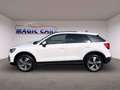 Audi Q2 35 TDI quattro S tronic advanced *Pano*AHK* Blanc - thumbnail 15