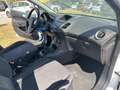 Ford Fiesta Fiesta VI 2013 5p 1.4 Plus Gpl 95cv E6 Bianco - thumbnail 12