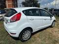 Ford Fiesta Fiesta VI 2013 5p 1.4 Plus Gpl 95cv E6 Bianco - thumbnail 6