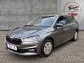 Skoda Fabia Selection 1.0 TSI DSG Winter Sunset SmartLink Grau - thumbnail 1