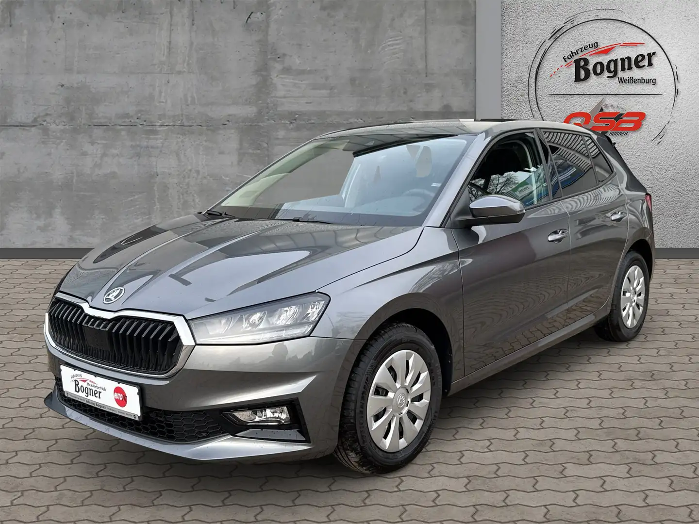 Skoda Fabia Selection 1.0 TSI DSG Winter Sunset SmartLink Grau - 1