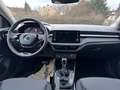 Skoda Fabia Selection 1.0 TSI DSG Winter Sunset SmartLink Grau - thumbnail 6